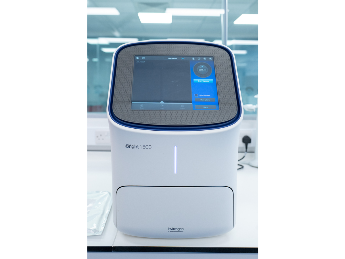 Thermo Fisher Invitrogen iBright CL1500 Imaging System